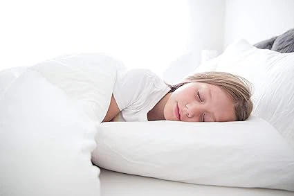 90% White Duck Down Pillow 90% White Duck Down Pillow